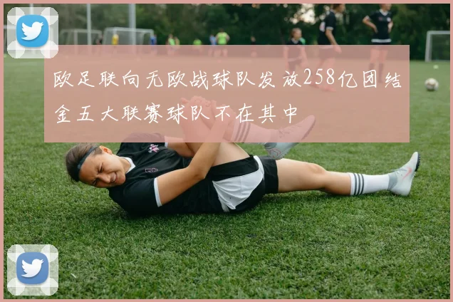 欧足联向无欧战球队发放258亿团结金五大联赛球队不在其中