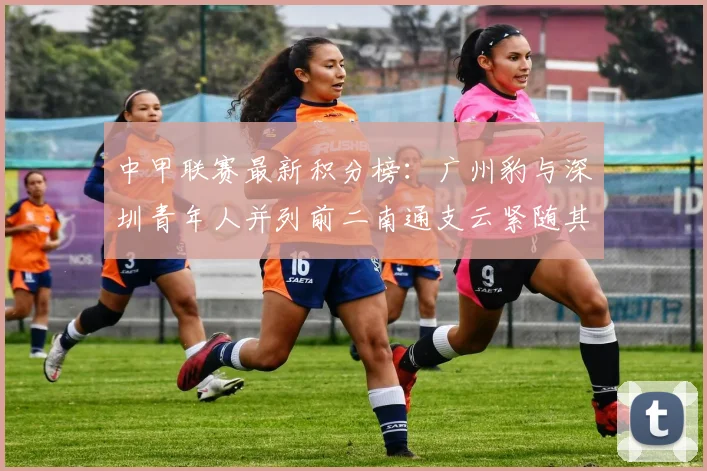 中甲联赛最新积分榜：广州豹与深圳青年人并列前二南通支云紧随其后